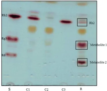 Fig. 2. Thin layer chromatography (TLC) analysis of glycosylated products transformed by LRGT