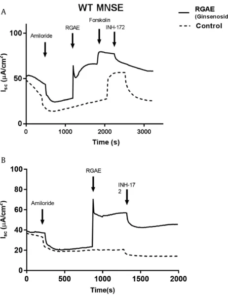 Fig. 1. Representative Ussing chamber tracings. Representative Ussing chamber tracings demonstrate pharmacologic manipulation of ion transport with activation of Cl  secretion in murine nasal septal epithelial (MNSE, wild type [WT]) cell cultures with RGA