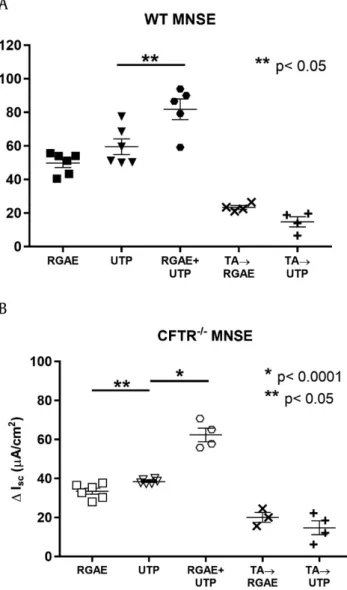 Fig. 4. Representative Ussing chamber tracings and summary data for RGAE- RGAE-stimulated D I SC in CFTR L/L MNSE