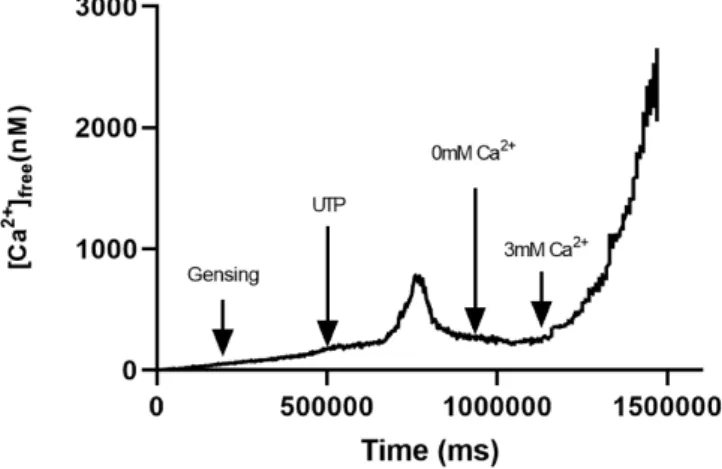 Fig. 8. Fura-2 [Ca 2þ ] i imaging. Representative Fura-2 ﬂuorescence curve demon- demon-strating no release of [Ca 2þ ] i at a dose of RGAE (1 m g/mL) shown to stimulate  trans-epithelial Cl  secretion.