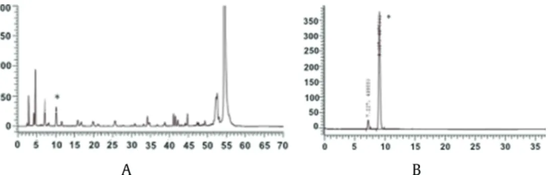 Fig. 2. HPLC chromatograms of the extracts before puriﬁcation using macroporous resins (A); 25-OH-PPT (T19) after recrystallization from methanol (B)