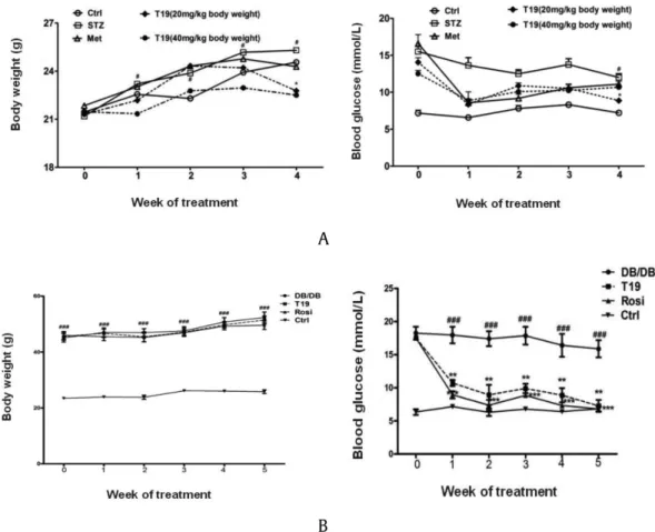 Fig. 3. Effect of 25-OH-PPT (T19) on body weight; blood glucose in STZ-induced hyperglycemic mice (n ¼ 10/group) (A) and DB/DB mice (n ¼ 6/group) (B) (Values are expressed as mean  SEM of three independent experiments