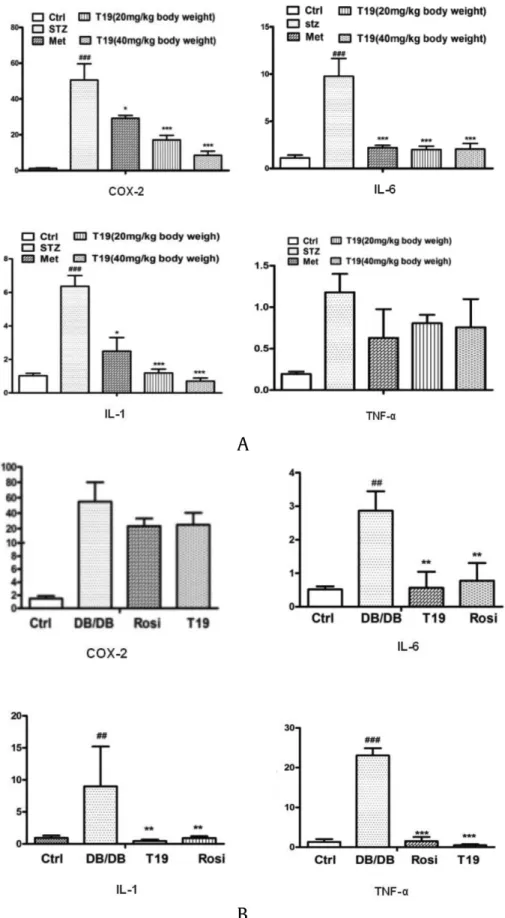 Fig. 7. Effect of 25-OH-PPT (T19) on the mRNA relative expression of hepatic inﬂammatory factors in STZ-induced diabetic mice (n ¼ 10/group) (A) and DB/DB mice (n ¼ 6/group) (B) (Values are expressed as mean  SEM of three independent experiments