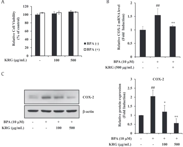 Fig. 1. Effects of KRG on BPA-induced COX-2 expression. (A) A549 cells were preincubated with KRG for 1h and treated with BPA