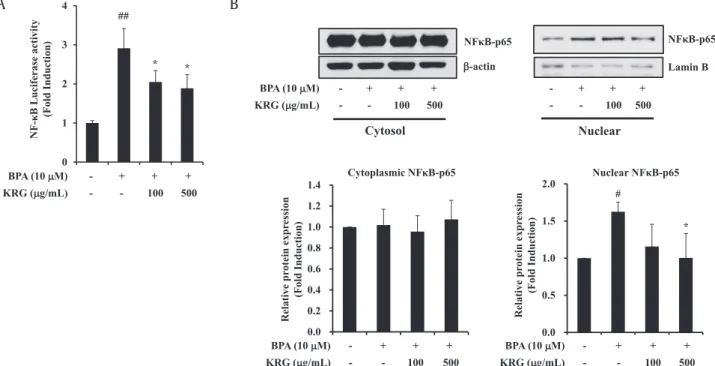 Fig. 2. Effects of KRG on BPA-induced NF- k B activation. (A) A549 cells were transfected with the NF- k B luciferase reporter gene