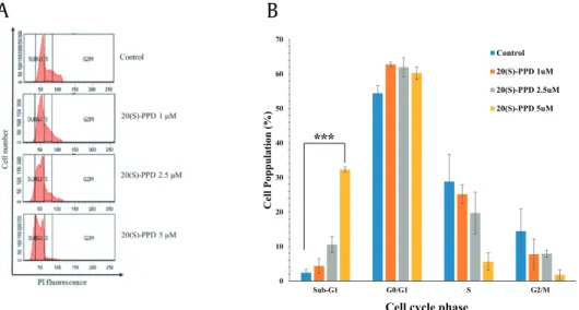 Fig. 3. Sub-G1 arrest induced by 20(S)-PPD. (A) HEC-1A cells were treated with increasing concentrations of 20(S)-PPD (0, 1, 2.5, or 5 m M) for 24 h before PI staining and ﬂow cytometry
