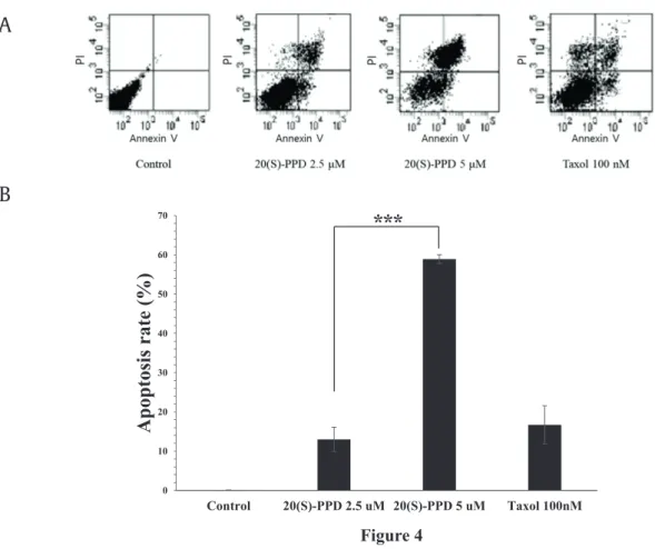 Figure 4AB010203040506070Control 20(S)-PPD 2.5 uM 20(S)-PPD 5 uM Taxol 100nMApoptosis rate (%)* * * 