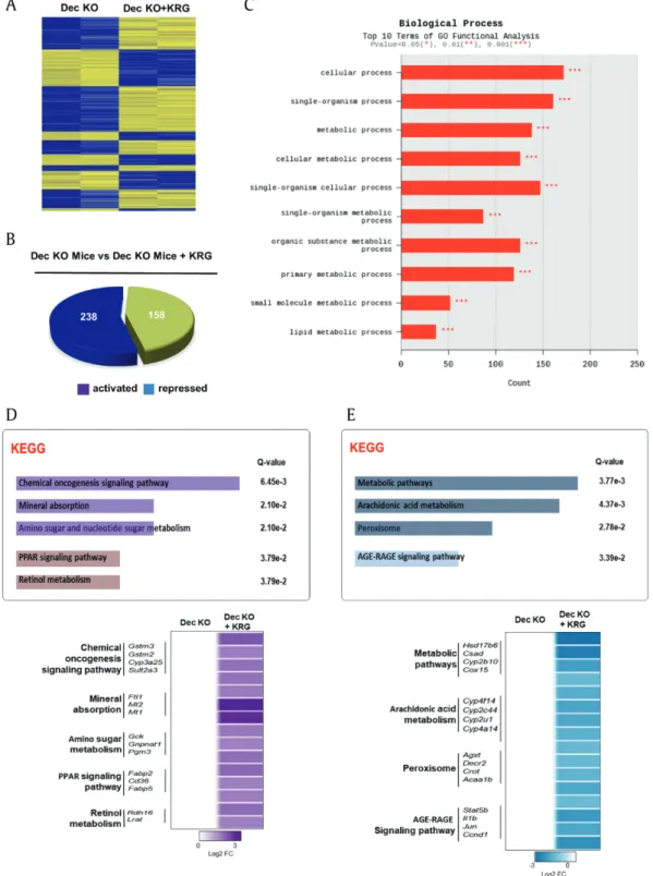 Fig. 5. Microarray analysis of differential gene expression proﬁles from the livers of 24-month-old DEC KO mice treated with KRG