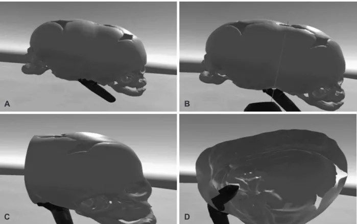 Fig. 2. A-D: 3D model in VR environment. A: The model is grabbed by the controller. B: Cutting plane is created
