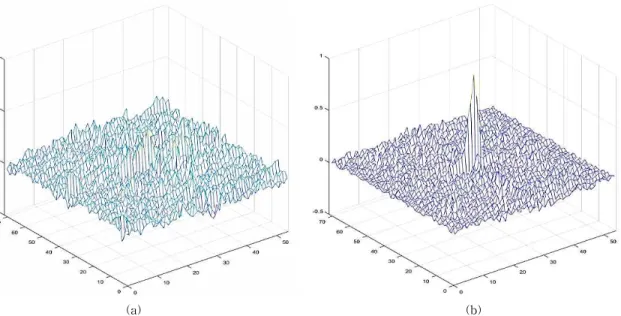 Fig. 7. The correlation peak shows how well the training and test images match: (a) No match and (b) Match.