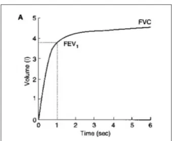 Fig 2.  This figure shows forced vital capacity and FEV1 on  spirometry. FEV1의 판독은 절대량과 성별,연령, 인종별 평균치와 비교 한 백분율로 나타낸다