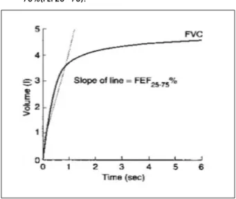 Fig 4.  This  picture  shows  flow-volume  loop  of  the  pulmonary function test. 