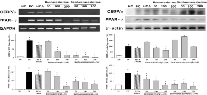 Fig.  3.  Effect  of  selected  herbal  medicine  from  65  herbal  medicine  on  the  expression  of  C/EBPα  and  PPAR-γ  mRNA  and  protein  in 3T3-L1  adipocytes