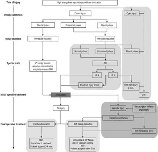 Fig. 3. The University of Pittsburgh treatment algorithm for the acute knee dislocation 32) .