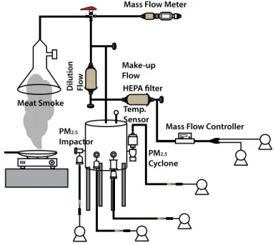Fig. 1.  Schematic diagram of the pyrolysis sampling system from meat smoke.