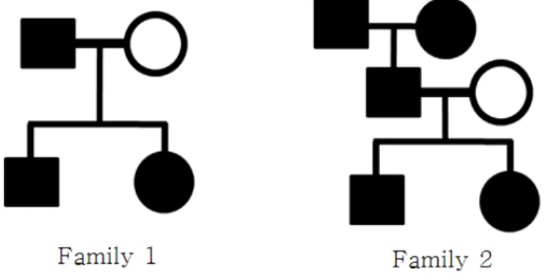Figure 1.1 Unbalanced structure in family data