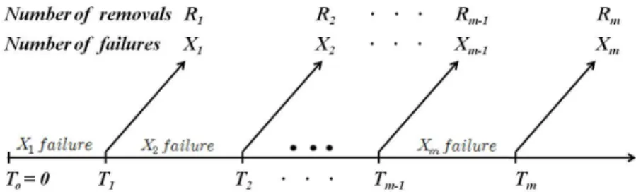 Figure 1.1 Scheme of a progressive Type-I interval censoring