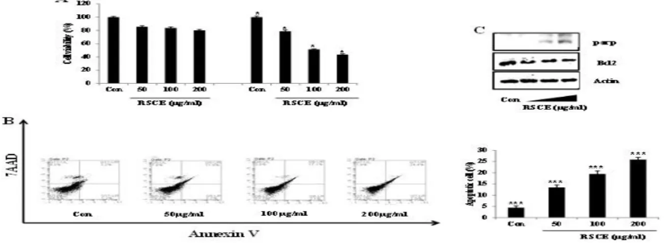 Figure  1.  RSCE  induced  apoptotic  cell  death:  (A)  Cells  were  seeded  in  24-well  plates  and  then  treated  with  different  concentration