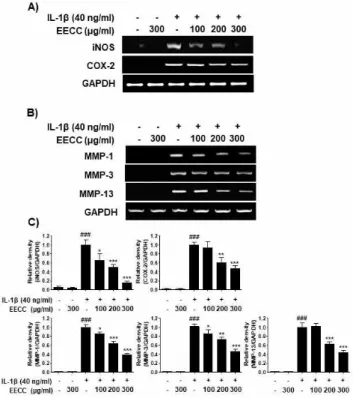 Figure  4.  Inhibition  of  the  iNOS,  COX-2  (A)  and  MMPs  (B) 