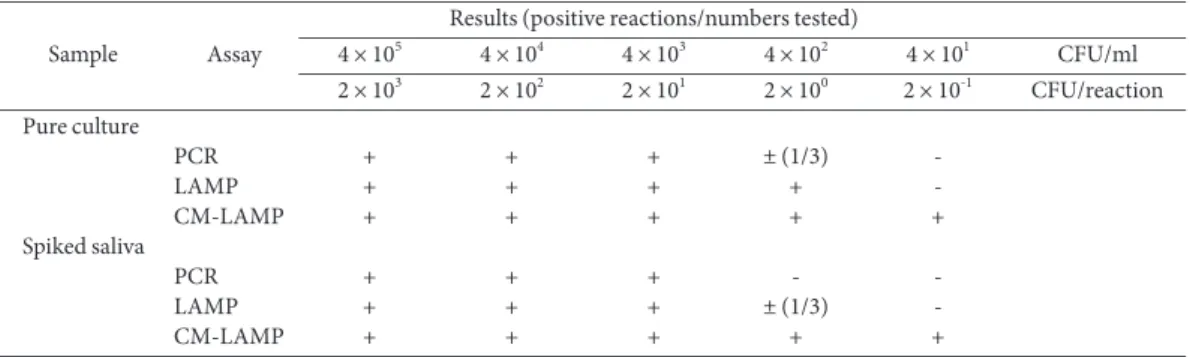 Fig. 2. The initial concentration of NH 2 -modified LF primers immobilized on MNPs was varied from 1 nmol to 2.5 nmol