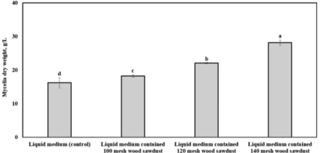 Fig. 1. Effect  of  particle  size  of  wood  sawdust  on  the  mycelia  dry weight in liquid medium during submerged culture of P