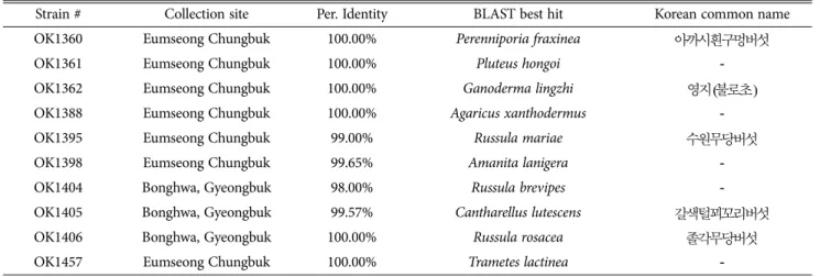 Table 1.  List of the strains used in this study