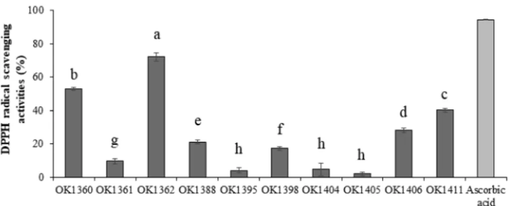 Fig. 2.  DPPH radical scavenging activities of 70% ethanol extracts (1 mg/ml concentrations) of 10 wild mushrooms (OK1360, Perenniporia fraxinea;  OK1361,  Pluteus  aff.;  OK1362,  Ganoderma lingzhi; OK1388, Agaricus xanthodermus;  OK1395,  Russula sp.; OK