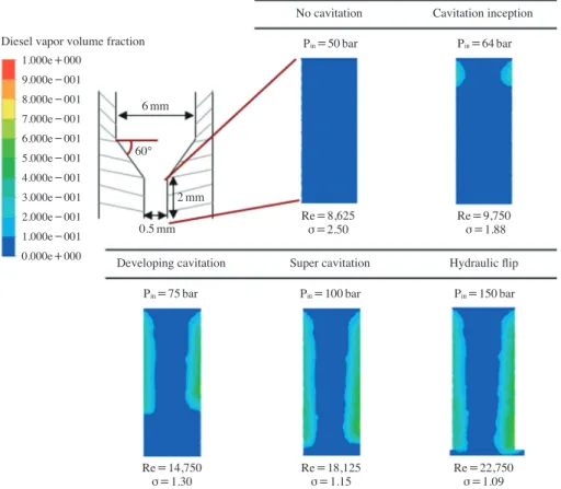 Fig. 6. Cavitation development steps in the nozzle without FAD.