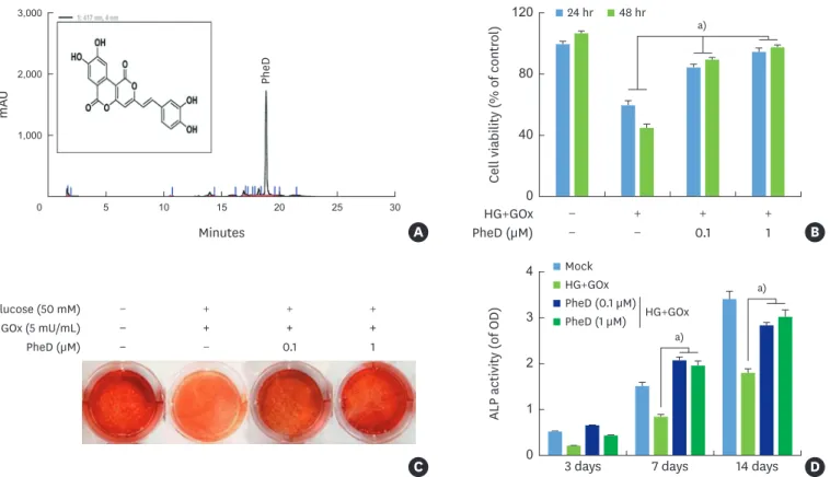 Figure 3.  Effect of PheD on protection from cellular toxicity and mineralization in HPDLCs with glucose-induced oxidative stress