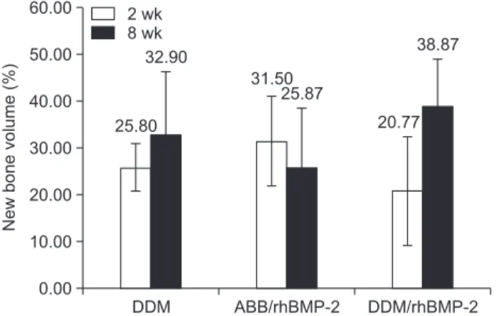 Fig. 4. Histomorphometric measurement of new bone formation at two and eight weeks (H&amp;E staining, ×100)
