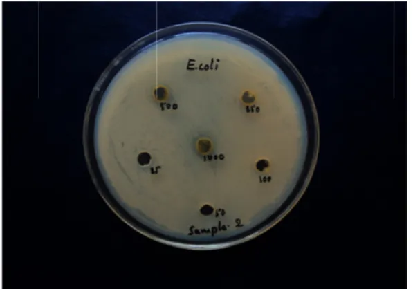 Figure 9.  Antimicrobial Activities of compounds Gram -ve bacteria.