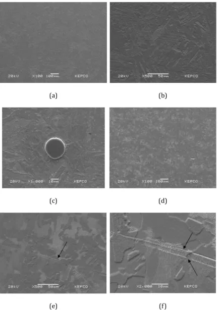 Fig. 4.  SEM images of heat-treated DED samples. 