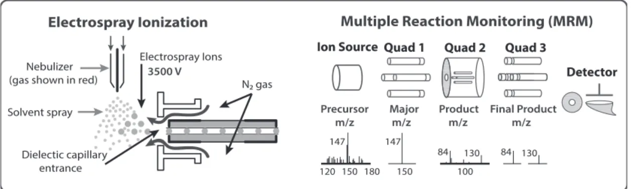 Fig. 1. Schematic Diagram of LC-MSMS.