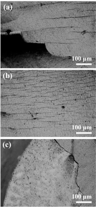 Fig.  4  Confocal  laser  microscopy  images  of  CNT     
