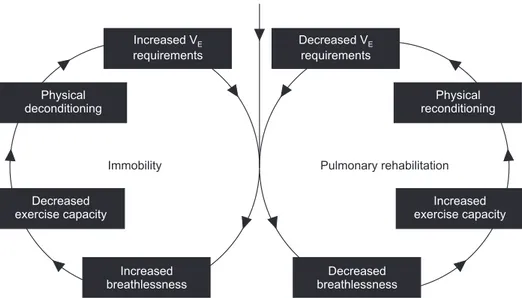 Figure 4.  Illustration of the potential of  pulmonary rehabilitation for reversing  the vicious cycle of deconditioning and  declining exercise capacity