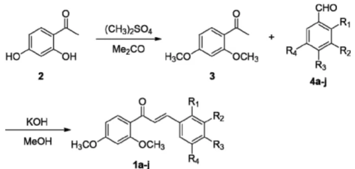 Table I − 2',4'-Dimethoxychalcone derivatives and their inhibition of H1975 cell proliferation R 1 R 2 R 3 R 4 % inhibition b 1a a H H H H 40 1b H H OMe H 28 1c H OMe OMe H 40 1d H OCH 2 O H 31