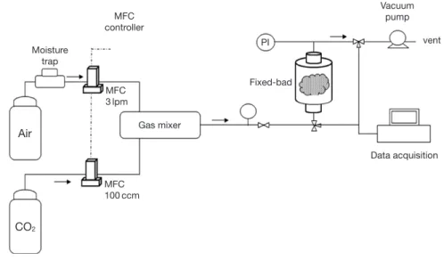 Fig. 2. Schematic set-up for low level CO 2  adsorption test.