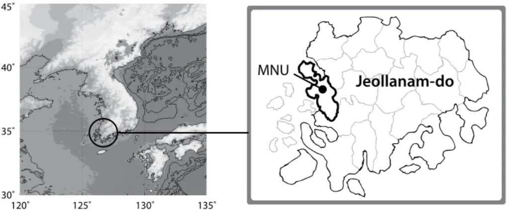 Fig. 2. Schematic diagram of Aerosol-into-Mist System.