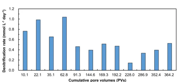 Fig. 4. Denitrification rate calculated for each profile over the experimental period.