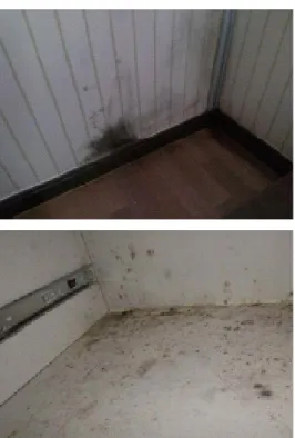 Fig  1.  Examples  of  condensation  in  walk-in  closet