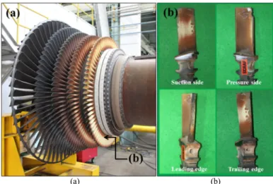 Fig. 1. 80 MW class land-based gas turbine. (a) the schematic of a gas turbine, (b) fully used #1 blade