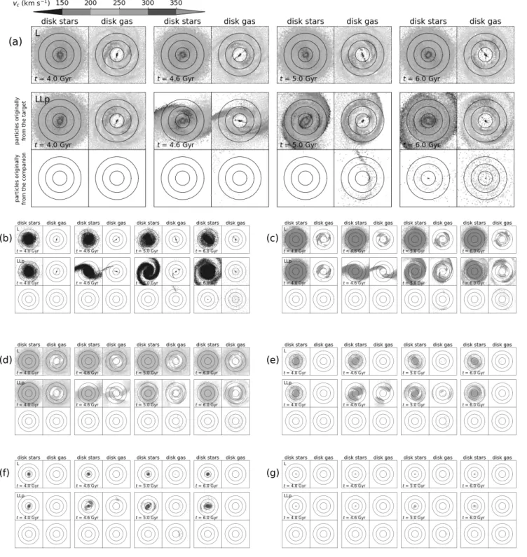 Figure 10. (a) Disk star and gas particles of the target galaxy from runs L and LLp at t = 4, 4.6, 5, and 6 Gyr (from leftmost two columns to rightmost two columns in order, respectively)