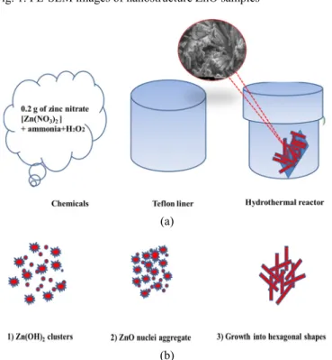 Fig. 2. (a) Schematic diagrams of the experimental process of nanostructure ZnO nanorods, (b) Growth process for the formation of nanostructure ZnO thin film 