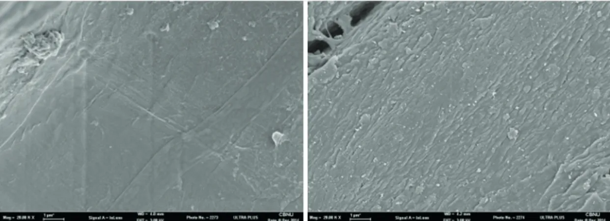 Fig. 9.   SEM images of the coal sample (left) and the coal char (right) produced at 700 ˚C during 0.5 hr [Magnification: 