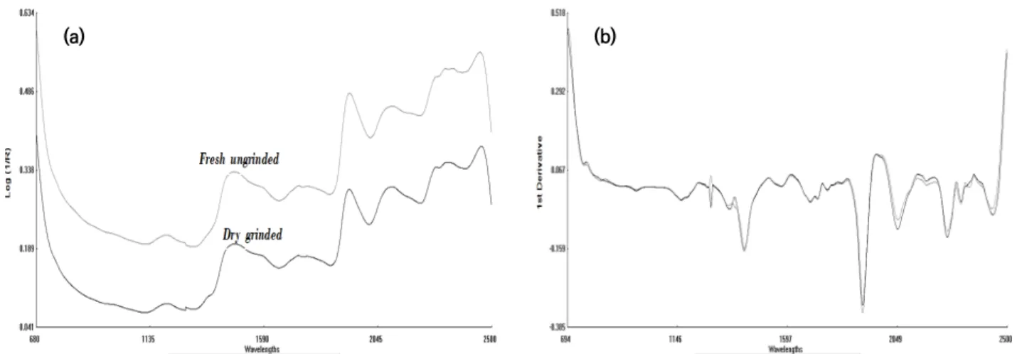 Fig.  1.  Average  NIR  original  spectra  of  sample  pre-treatment  (a)  and  a  first  derivative  (b)  for  imported  hay.