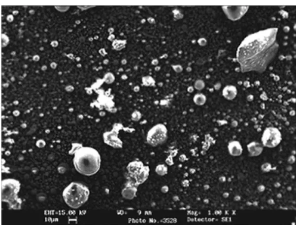 Fig. 2. SEM image of raw ash particles (× ×1000). 