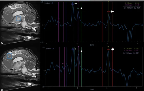 Fig 4. After MRI exmaination, the puppy (Dog 1) was euthanized and histopathologically diagnosed with spongy degeneration.