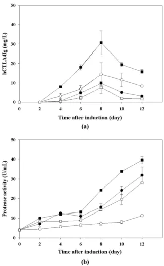 Fig. 3. Effects of agitation speeds and working volumes on (a) hCTLA4Ig concentration and (b) protease activity by with filtered cells
