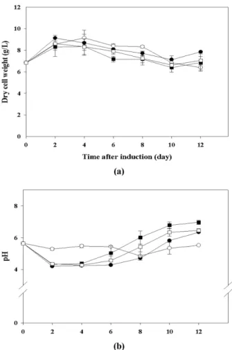 Fig. 5. Time course changes of (a) hCTLA4Ig concentration and (b) protease activity under various agitation speeds and working volumes with settled cell volume containing conditioned media