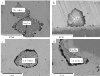 Fig. 4  Cross-sections of Sn-0.7Cu solder joints after ex-
